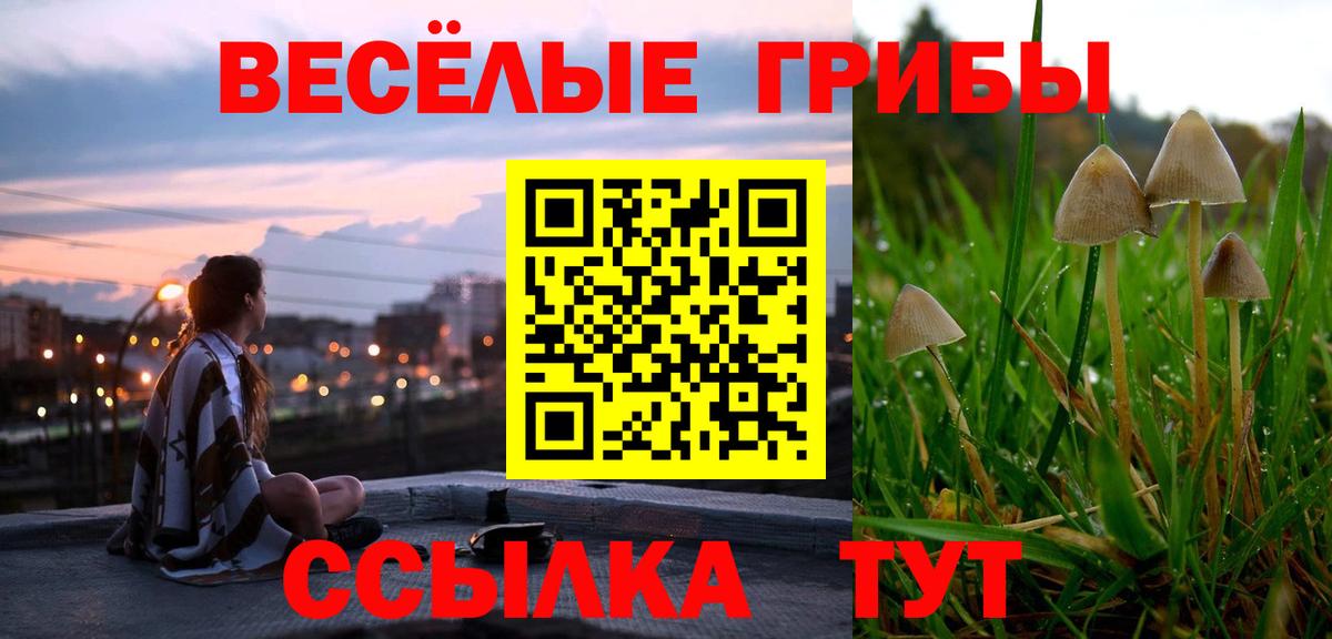 Псилоцибиновые грибы Magic Shrooms  что такое наркотик  Аша  Вход с VPN 